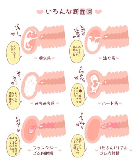 中出し 断面|【二次】中出しがはっきり見える断面図が実用的すぎるエロ画像。